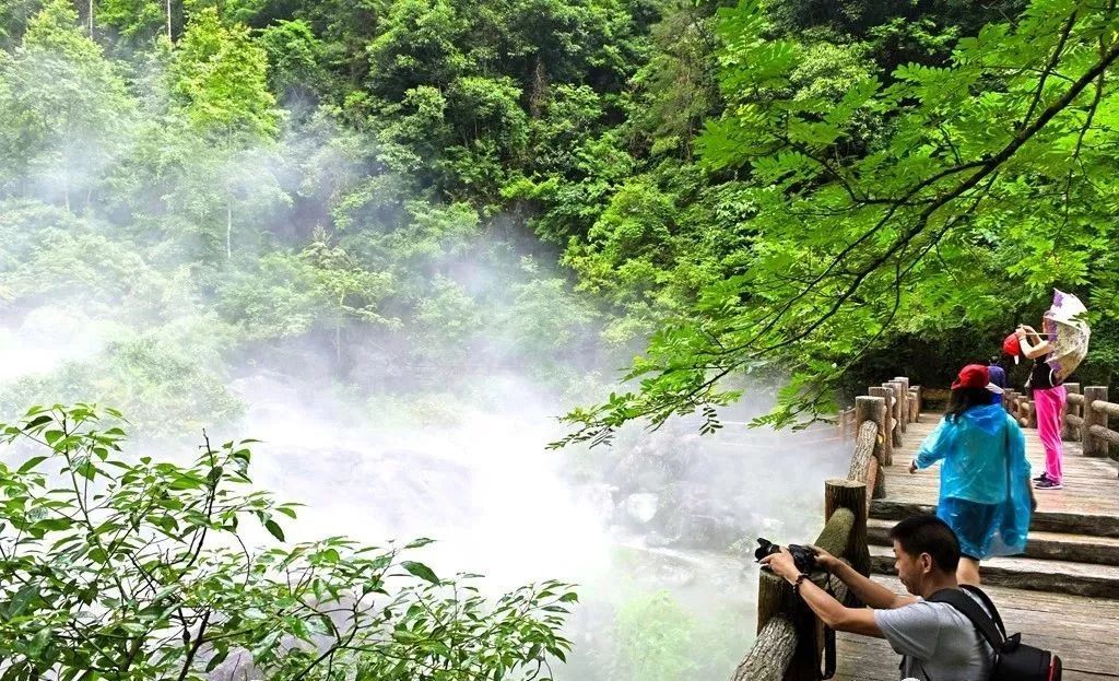 “霧森”系統、“霧森”景觀(guān)